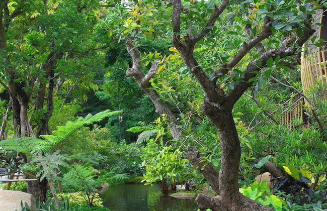 T-Story Maekampong - Foto 67