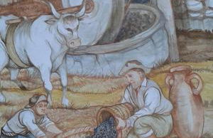 Agriturismo Holle - Foto 24