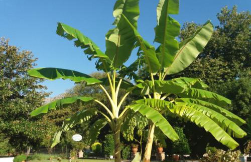 Dimitriou Rooms - Foto 24