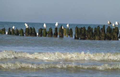 Appartement face mer - Photo 26