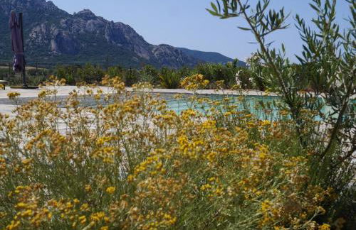 Les anciennes écuries, belle villa pour 12 personnes au coeur d'un vignoble avec piscine - Foto 30