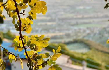 Tetti di Trevi - Foto 36