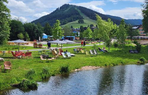 Schwarzwald-Ferienwohnungen Begert - Foto 42