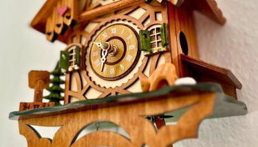 Kuckucksnest - Ferienwohnung mit Traumblick im Schwarzwald - Foto 4