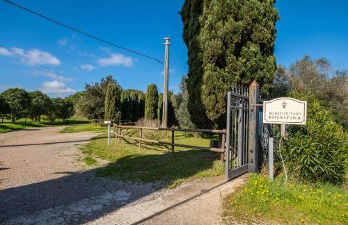 Rosaspina - Appartamento 2 - Foto 29