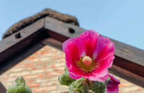 Relaxing Home With View Of Stettin Lagoon - Foto 38