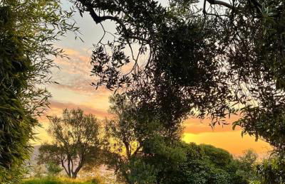 Agriturismo Natta Di Monte Tabor - Foto 62