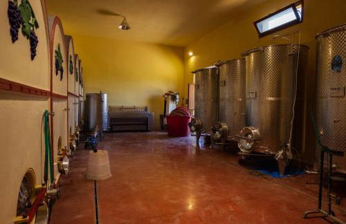 Appartamento bilocale I Cerroni Montescudaio - Foto 38