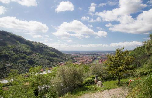 Podere Scoglio d'Oro - Foto 59