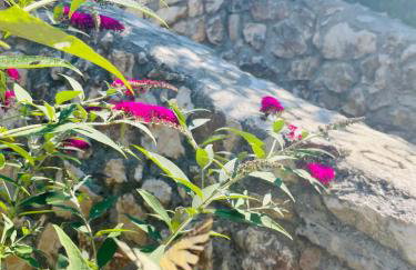 Apartment Bobic - Foto 19