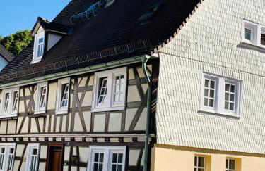 Nibelungen 3 Zimmer Apartment - Photo 41