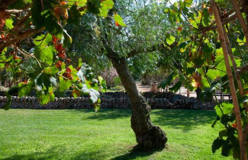 Agroturismo Finca Sant Blai - Photo 68