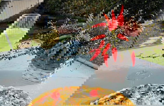 Cinéma Enchanté - cinéma & bain nordique - Foto 14