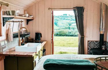 Stunning Shepherd's Hut Retreat North Devon - Foto 14