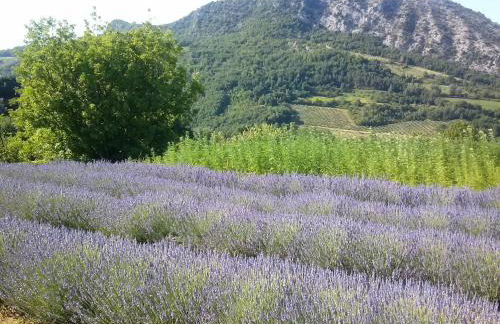 Porcaticcio - Foto 29