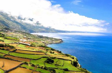 Pico Boutique House - Photo 34