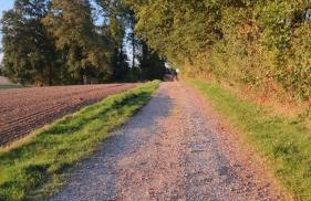 FeWo Harling - Waldoase - Foto 26