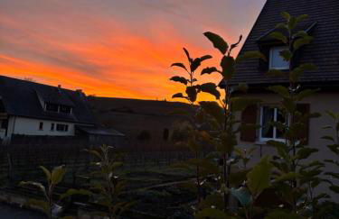 L'escapade des Vignes - Photo 10