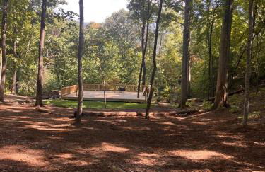 Treehouse wFull Disc Golf CourseDog Friendly - Foto 33