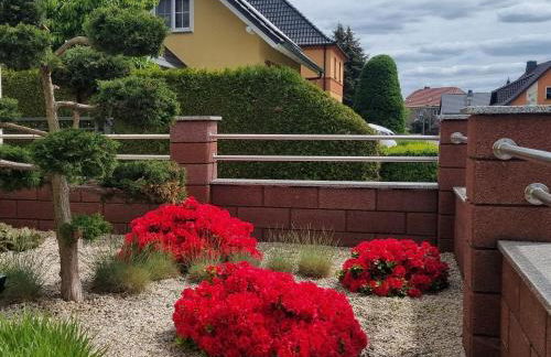 Ferienwohnung *Zur Weinbergstraße* - Foto 9