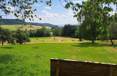 Schwarzwald Apartment - Photo 27