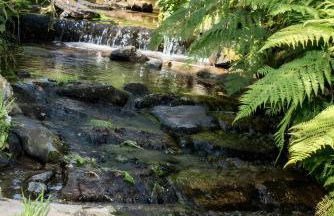 Ferienwohnung Vergissmeinnicht - Foto 10
