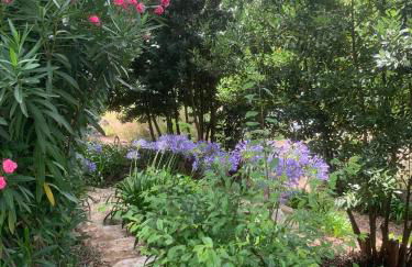 Cottage da Fonte Seca - Foto 32