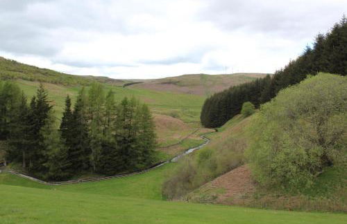 Lazy Days Lodge, Glendevon, Perthshire - Foto 34