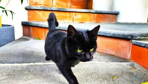 Villa Eterna Mungibeddu - Foto 4