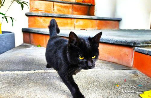 Villa Eterna Mungibeddu - Foto 4