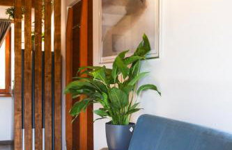 WoodenHouse with two Apartments - Foto 43