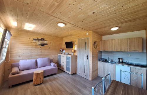 Domek Malinowy - Photo 57