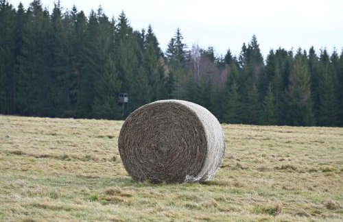 Strażnica Pod Lasem - Foto 66
