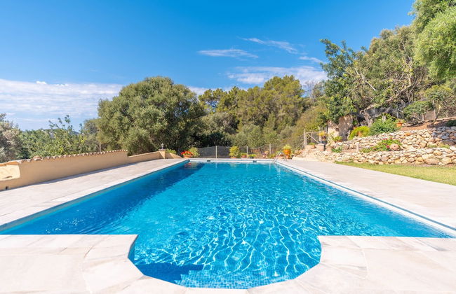 Son Orlandis in Andratx - Foto 34