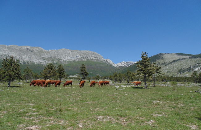 Holiday Home in Starigrad With Garden - Foto 33