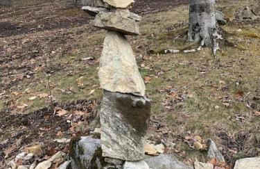 Petting Zoo! Hot Tub, 15 acres, stream & Romance! - Foto 40