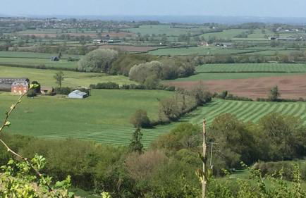 Adorable one bed cottage in rural idyll - Foto 28