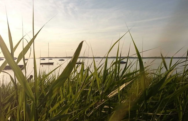 Exklusiver Bungalow mit Terrasse in Rerik - Foto 32