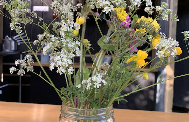 Tregantle Farm Eco Glampsite Super Safari Cabin - Foto 26