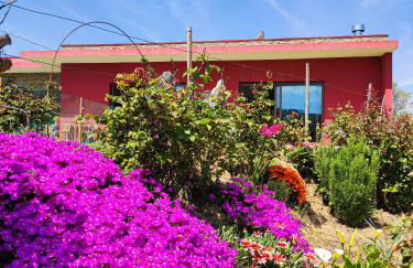 Quinta dos Padrinhos - Suites in the Heart of the Douro - Foto 47