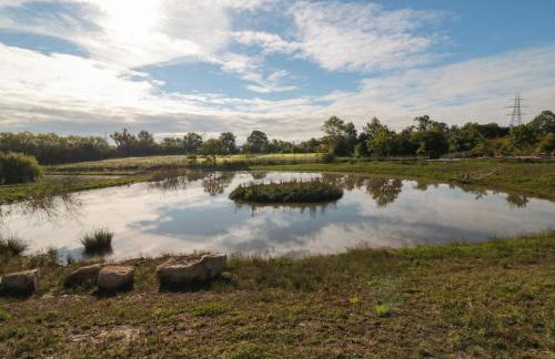 Lovebird Lodge - Foto 15