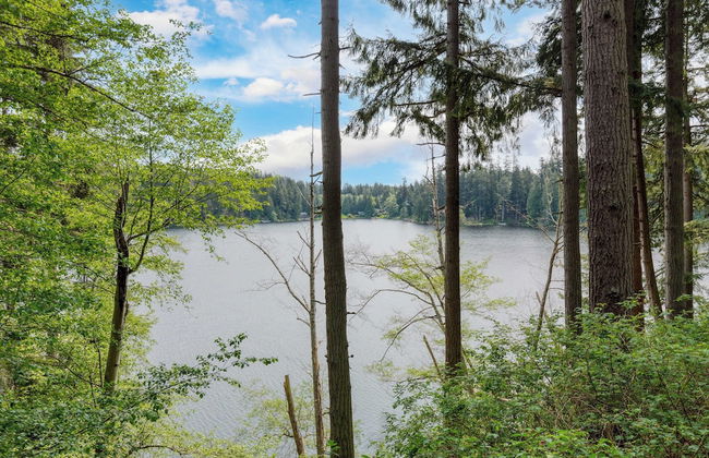 Goss Lake Chalet by Avantstay Lakefront w/ Dock - Photo 39