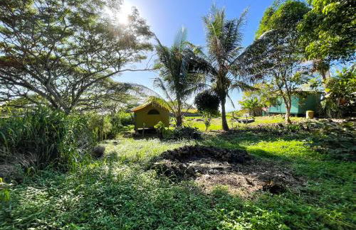 Gingerhill Farm Retreat - Foto 24