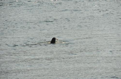 stunning tranquil villa with private pool - Foto 69