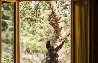 Casa "Tramuntana" - Foto 34