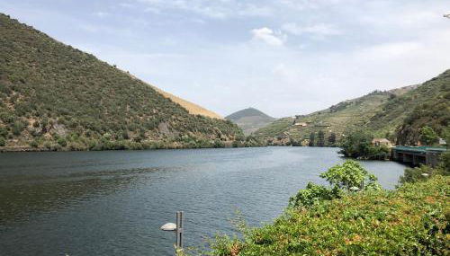 Castas do Douro - Foto 4