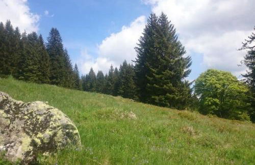 Ferienwohnung Schog - Foto 44