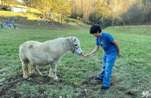 Barn Vibes + Petting Zoo + Hot Tub! - Foto 11