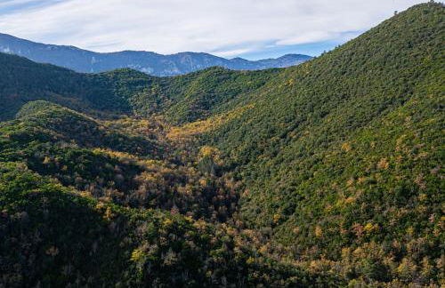 Au Cœur Du Pays Cathare - Foto 33