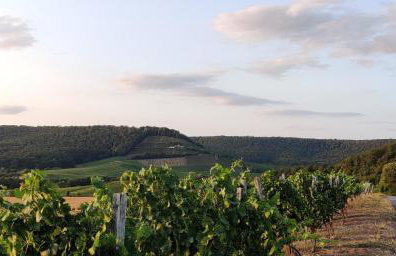 Ferienwohnung am Hollergraben - Foto 31